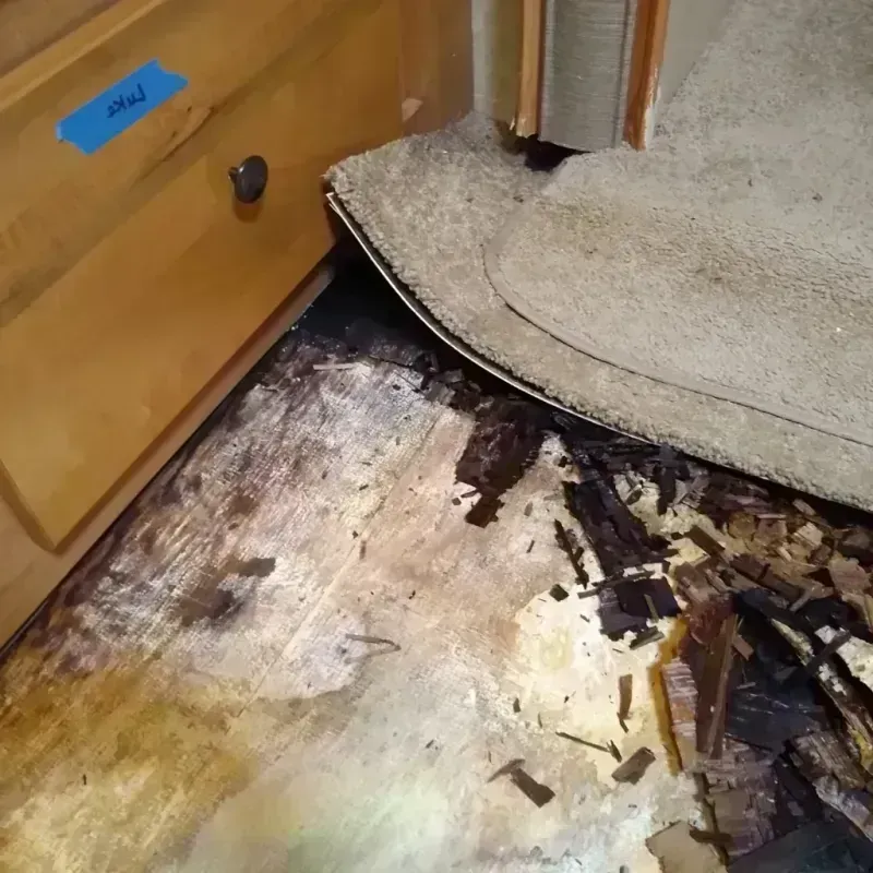 Best Wood Floor Water Damage Service in Ovilla, TX